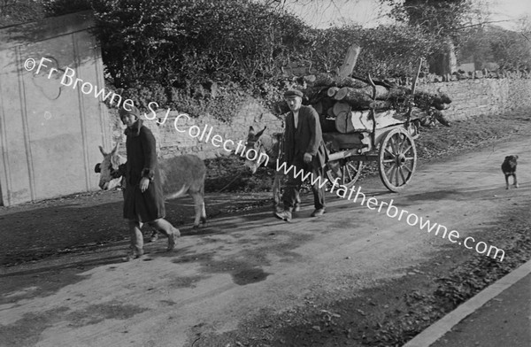 THE DONKEY TAUDREN : CHRISTMAS HOP TO MOUNTMELLICK